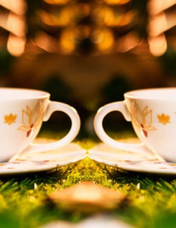 Kit 2 Xícaras de Chá